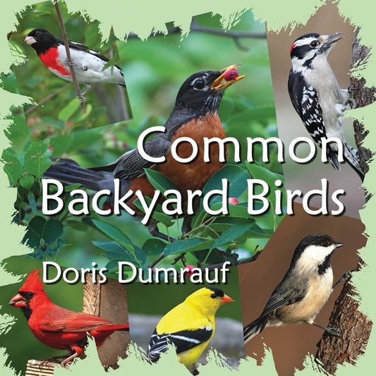 Common Backyard Birds - Ingram