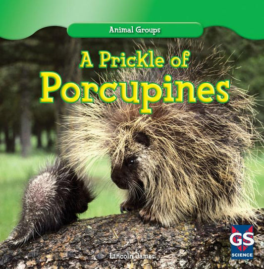 Prickle of Porcupines - Ingram