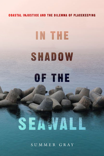 In the Shadow of the Seawall: Coastal Injustice and the Dilemma of Placekeeping - Ingram