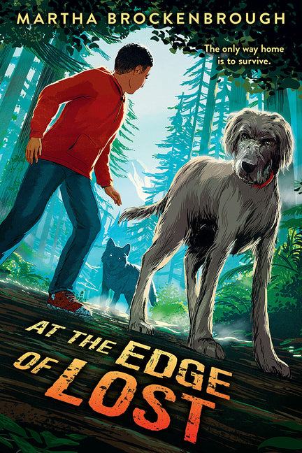 At the Edge of Lost - Ingram