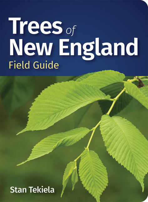 Trees of New England Field Guide - Ingram