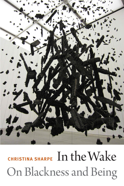 In the Wake: On Blackness and Being - Ingram