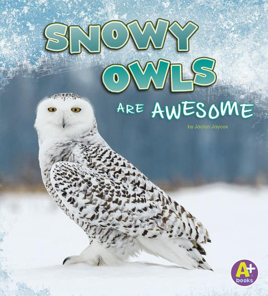 Snowy Owls Are Awesome - Ingram