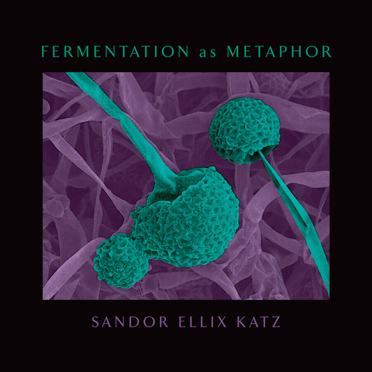 Fermentation as Metaphor: From the Author of the Bestselling the Art of Fermentation - Ingram