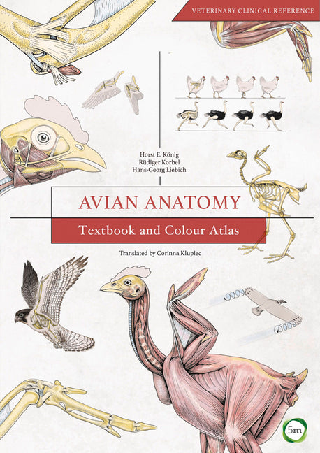 Avian Anatomy: Textbook and Colour Atlas - Ingram