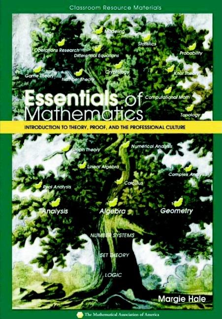 Essentials of Mathematics: Introduction to Theory, Proof, and the Professional Culture - Ingram