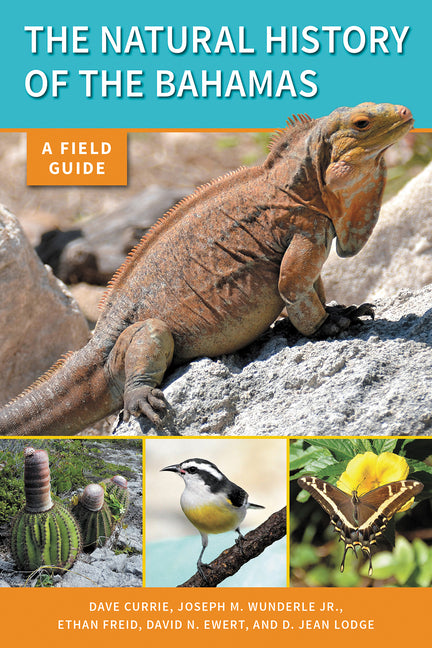 Natural History of the Bahamas: A Field Guide - Ingram