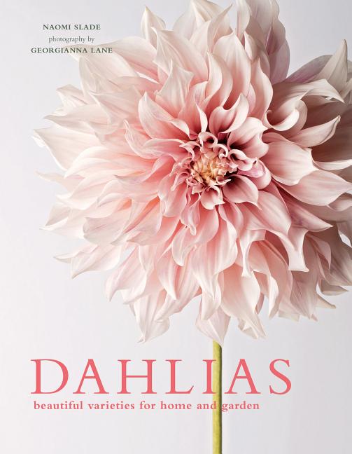 Dahlias: Beautiful Varieties for Home & Garden - Ingram