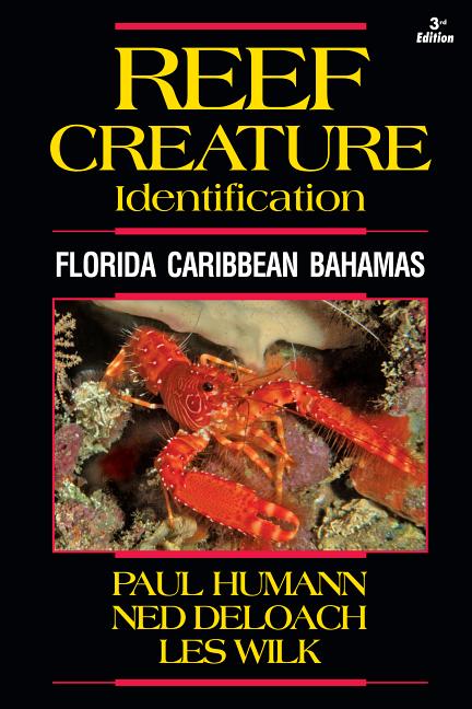 Reef Creature Identification: Florida Caribbean Bahamas - Ingram