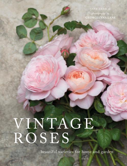 Vintage Roses: Beautiful Varieties for Home and Garden - Ingram