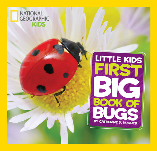 Little Kids First Big Book of Bugs - Ingram