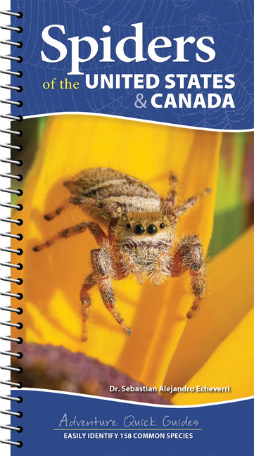 Spiders of the United States & Canada: Easily Identify 158 Common Species - Ingram
