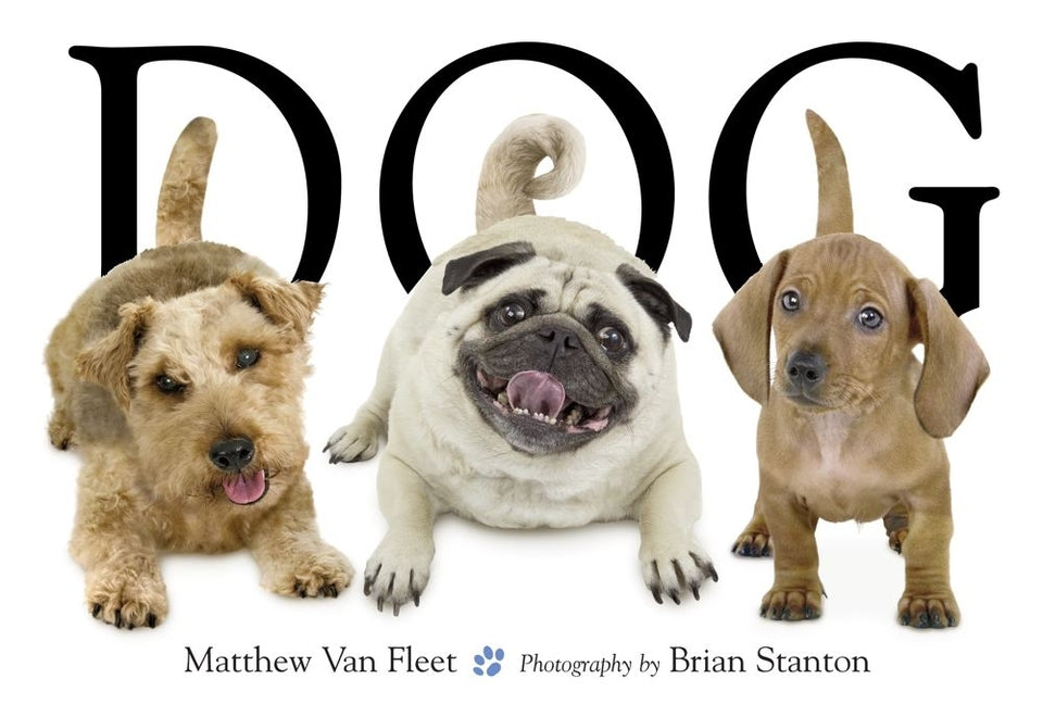 Dogs