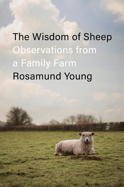 Wisdom of Sheep: Observations from a Family Farm - Ingram