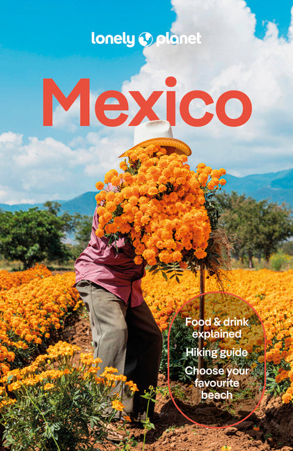 Lonely Planet Mexico - Ingram