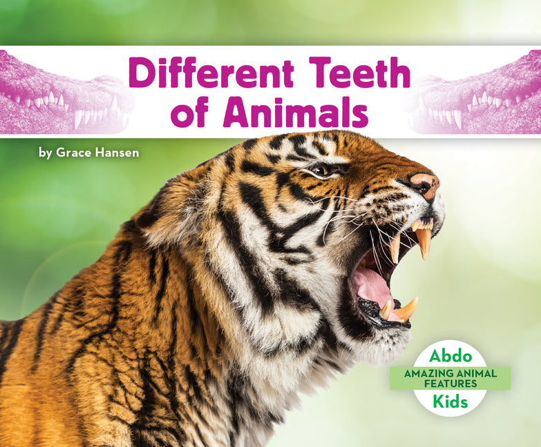 Different Teeth of Animals - Ingram