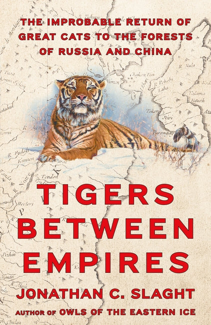 Tigers Between Empires: The Improbable Return of Great Cats to the Forests of Russia and China - Ingram