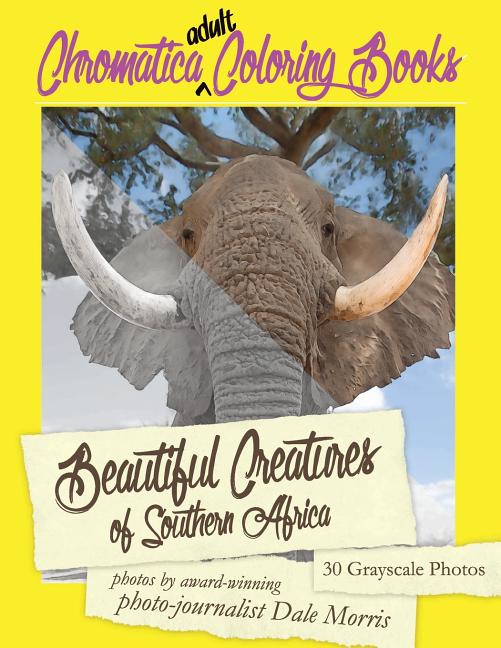 Beautiful Creatures of Southern Africa: An Adult Coloring Book featuring the most beautiful creatures that reside in Southern Africa - Ingram