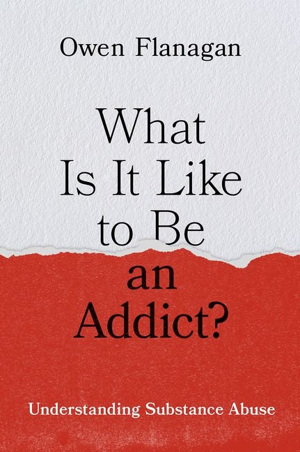 What Is It Like to Be an Addict?: Understanding Substance Abuse - Ingram