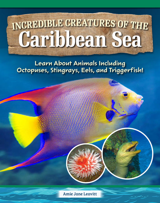 Incredible Creatures of the Caribbean Sea: Learn about Animals Including Octopuses, Stingrays, Eels, and Triggerfish! - Ingram