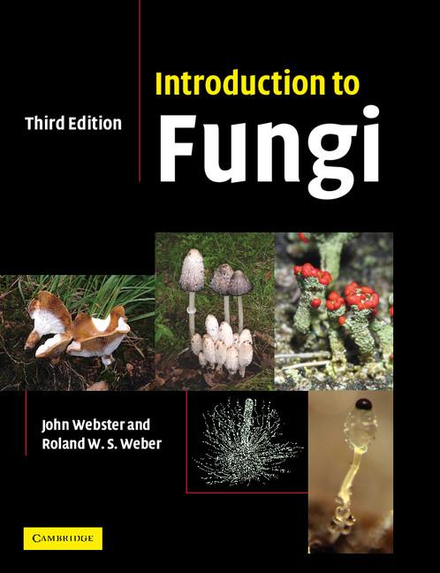 Introduction to Fungi - Ingram