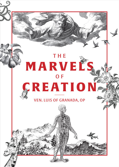 Marvels of Creation - Ingram