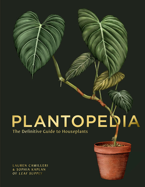 Plantopedia: The Definitive Guide to Houseplants - Ingram