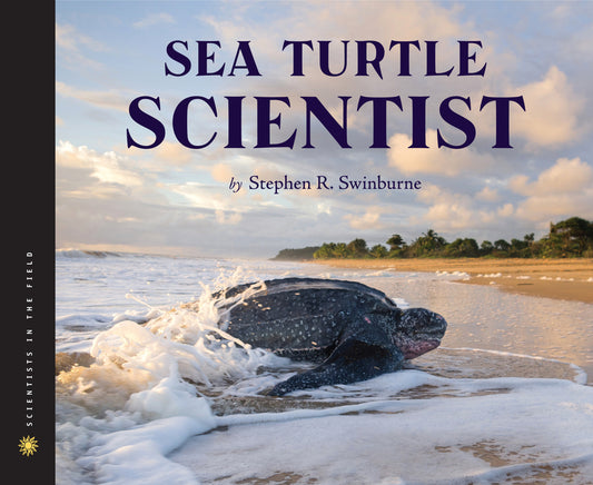 Sea Turtle Scientist - Ingram