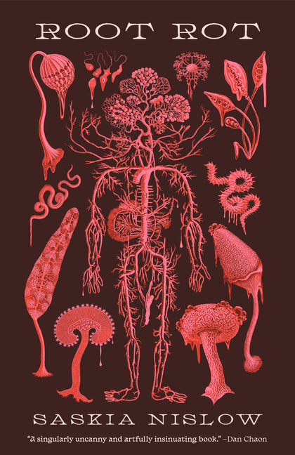 Root Rot - Ingram