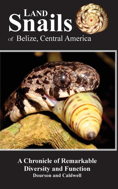 Land Snails of Belize, Central America: A Remarkable Chronicle of Diversity and Function - Ingram