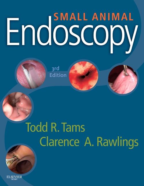 Small Animal Endoscopy - Ingram