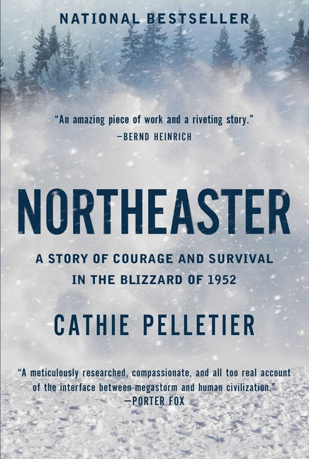 Northeaster: A Story of Courage and Survival in the Blizzard of 1952 - Ingram