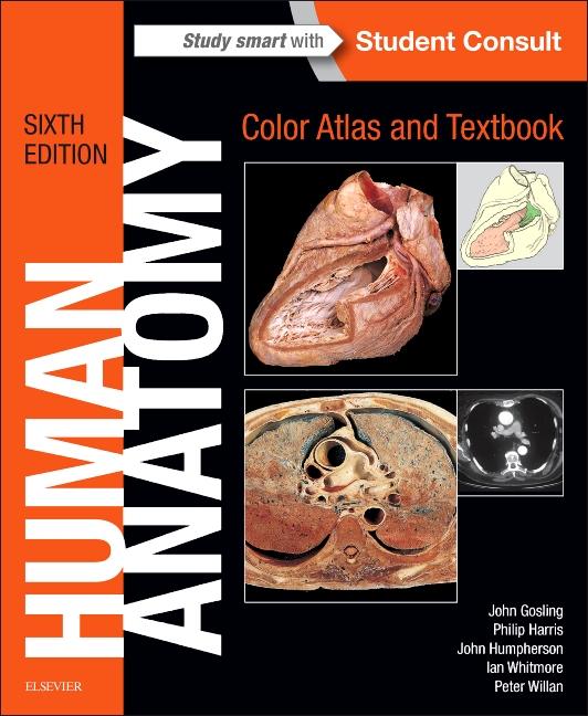 Human Anatomy, Color Atlas and Textbook - Ingram