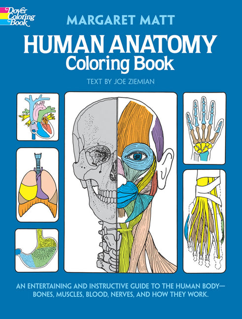 Human Anatomy Coloring Book - Ingram