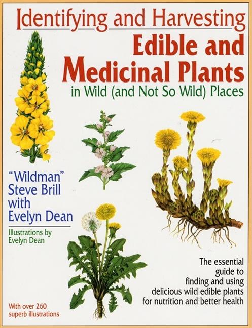 Identifying and Harvesting Edible and Medicinal Plants - Ingram