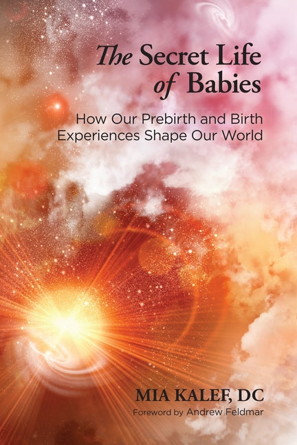 Secret Life of Babies: How Our Prebirth and Birth Experiences Shape Our World - Ingram