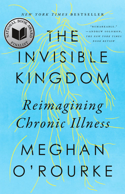 Invisible Kingdom: Reimagining Chronic Illness - Ingram