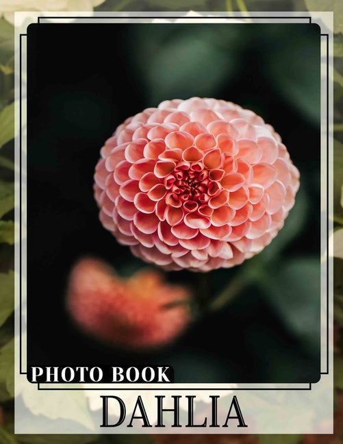 Dahlia Photo Book: Stunning Floral Imagery Featuring 40 Vibrant Dahlia Varieties for Garden Enthusiasts - Ingram