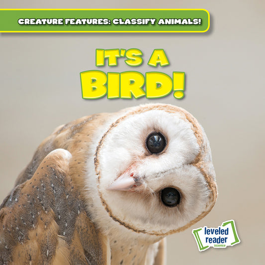 It's a Bird! - Ingram