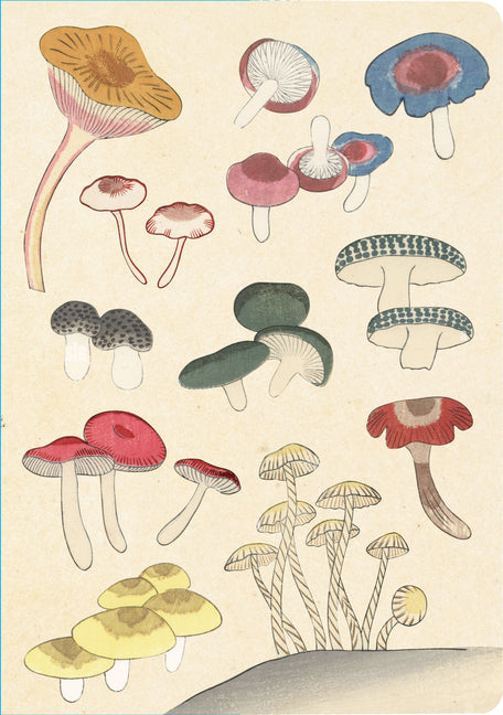 Healing Mushrooms Lined Paperback Journal: Blank Notebook with Pocket - Ingram