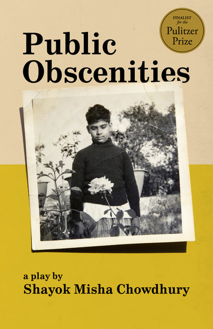 Public Obscenities - Ingram