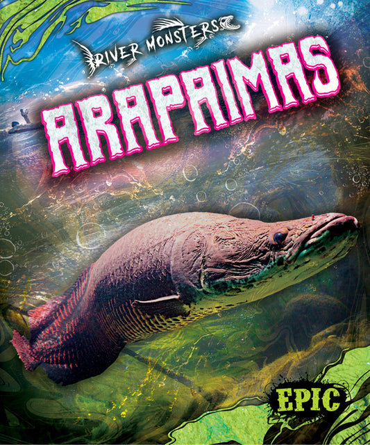 Arapaimas - Ingram
