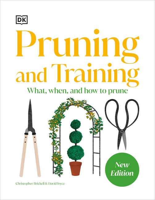Pruning and Training: What, When, and How to Prune - Ingram