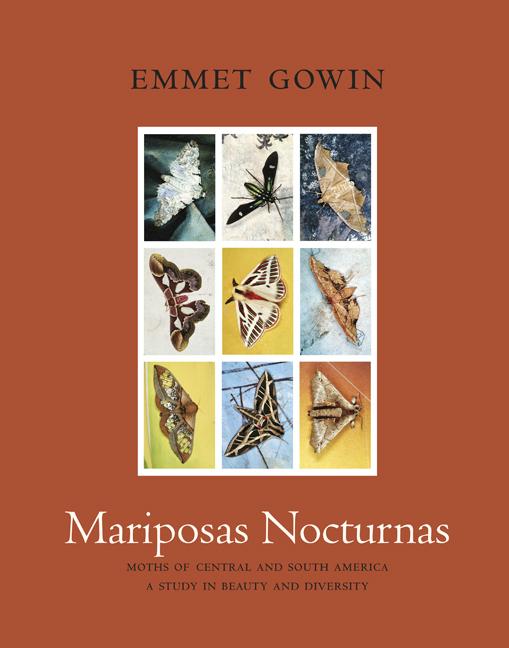 Mariposas Nocturnas: Moths of Central and South America, a Study in Beauty and Diversity - Ingram