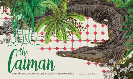 Caiman - Ingram