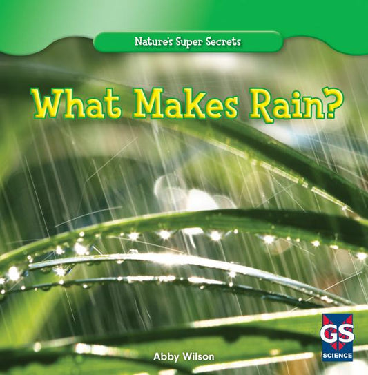 What Makes Rain? - Ingram