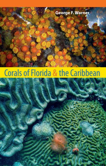 Corals of Florida and the Caribbean - Ingram