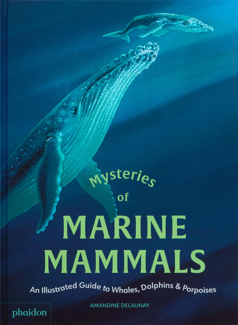 Mysteries of Marine Mammals: An Illustrated Guide to Whales, Dolphins, and Porpoises - Ingram