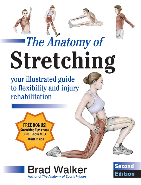 Anatomy of Stretching, Second Edition: Your Illustrated Guide to Flexibility and Injury Rehabilitation - Ingram