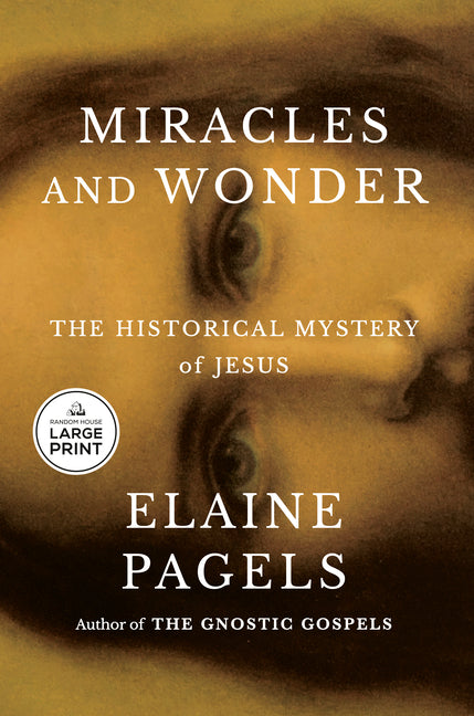 Miracles and Wonder: The Historical Mystery of Jesus - Ingram